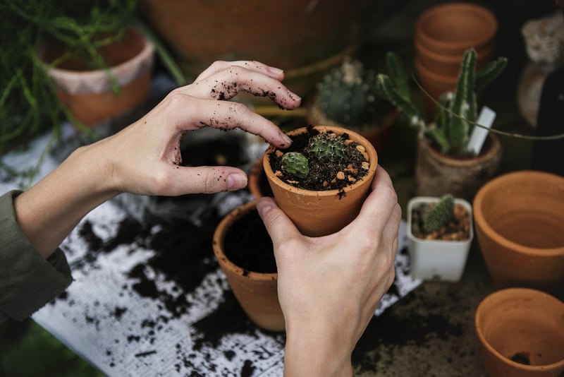 Community Gardening